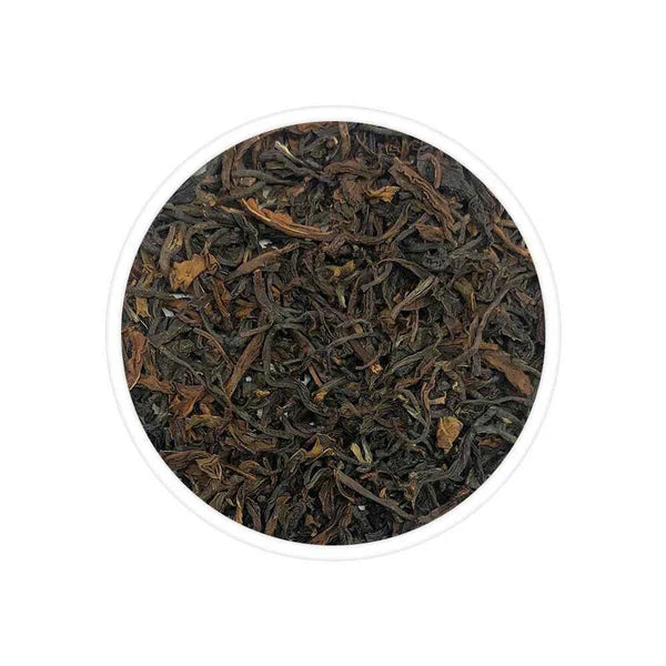 Sourenee Clonal SPL