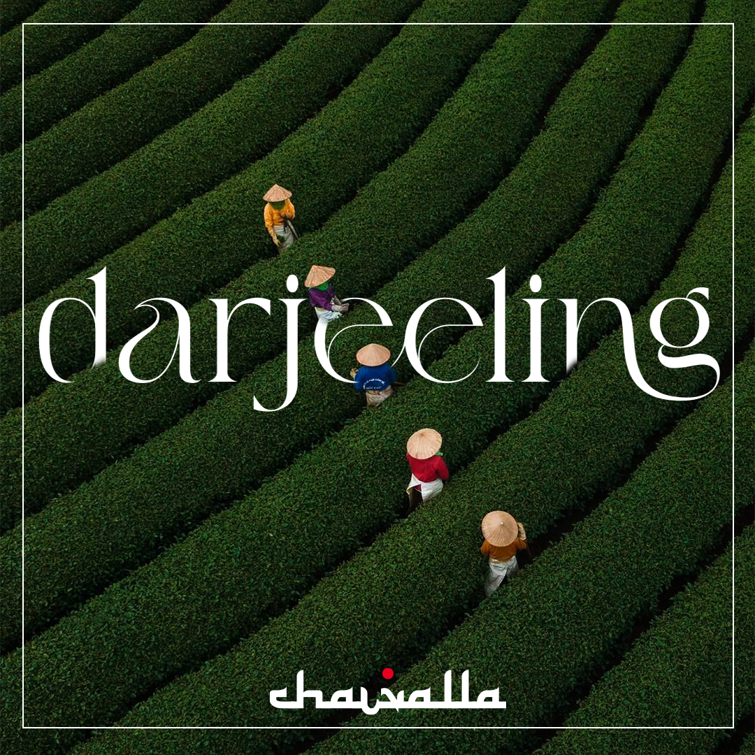 Darjeeling